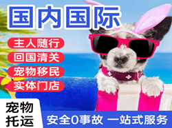 山南隆子空运国际宠物托运 【国